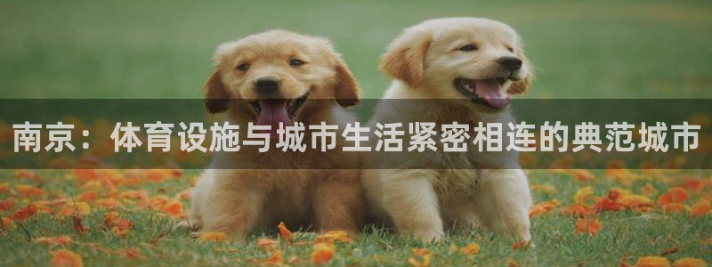 意昂体育4招商电话号码是多少号：南京：体育设施与城市