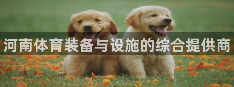 意昂体育4联系电话：河南体育装备与设施的综合提供商