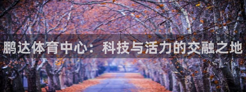 意昂4娱乐网站：鹏达体育中心：科技与活力的交融之地