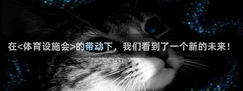 意昂体育4软件：在<体育设施会>的带动下，我们看到了