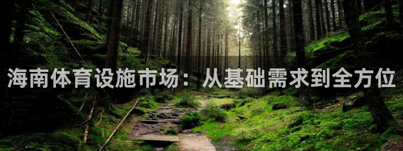 意昂4娱乐网站：海南体育设施市场：从基础需求到全方位